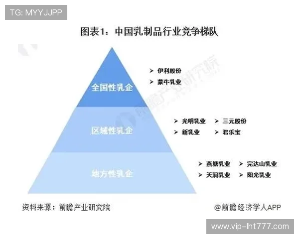 FG电子的市场竞争格局与行业影响力分析，助力企业制定更有效的市场策略